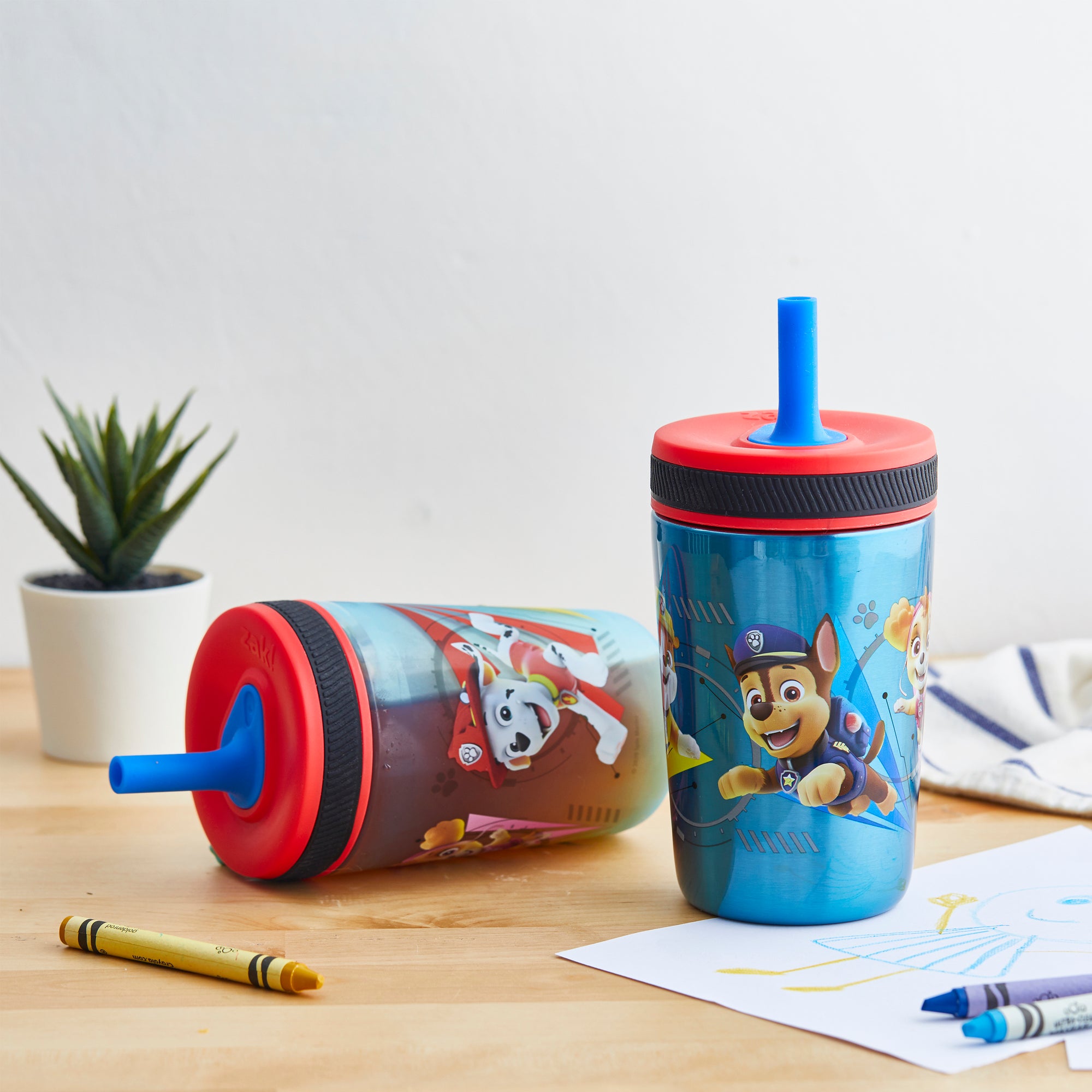 PAW Patrol Kids Stainless Steel and Plastic Leak Proof Tumbler Set