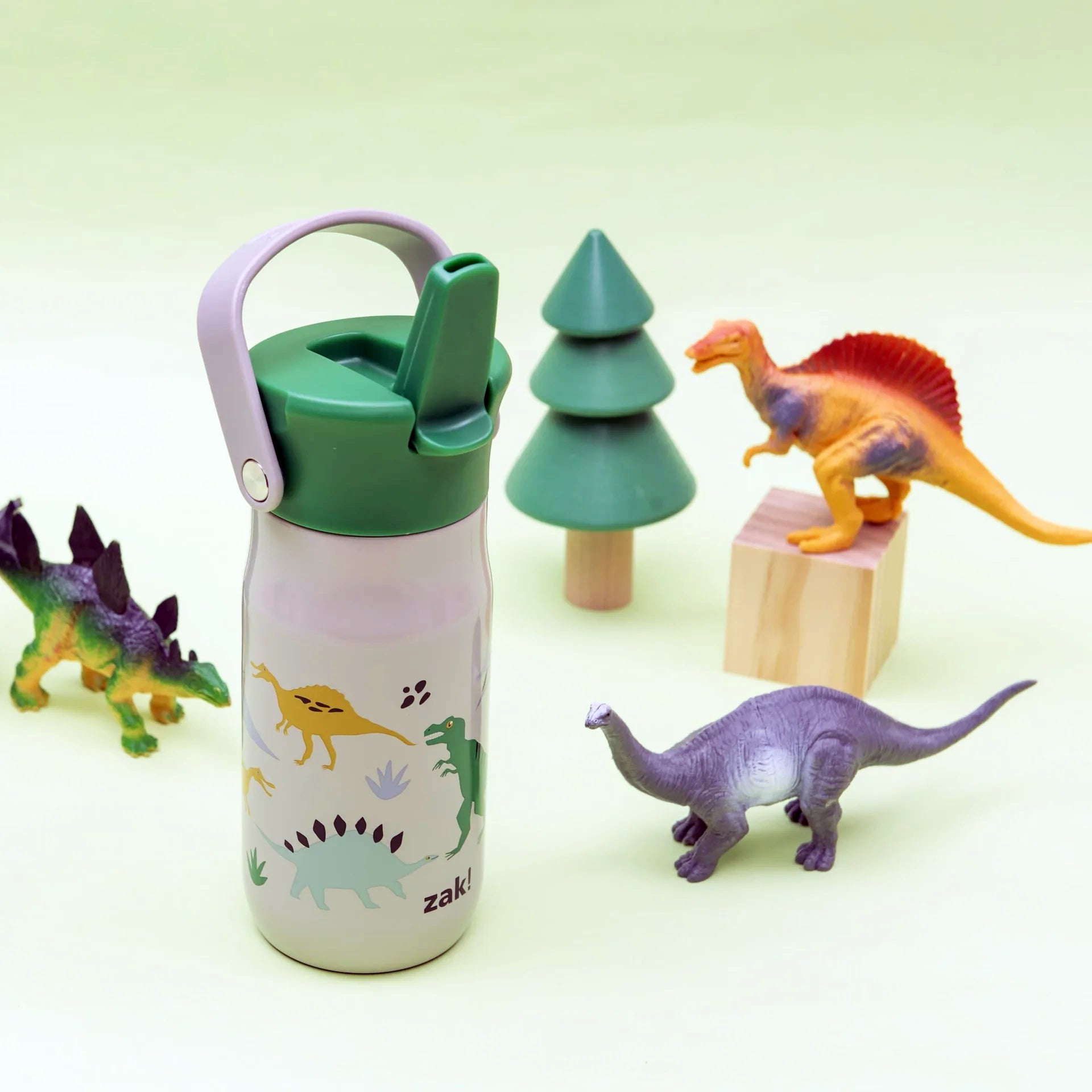 Dinosaurs Harmony Recycled Stainless Steel Kids Water Bottle with Straw Spout, 14 ounces