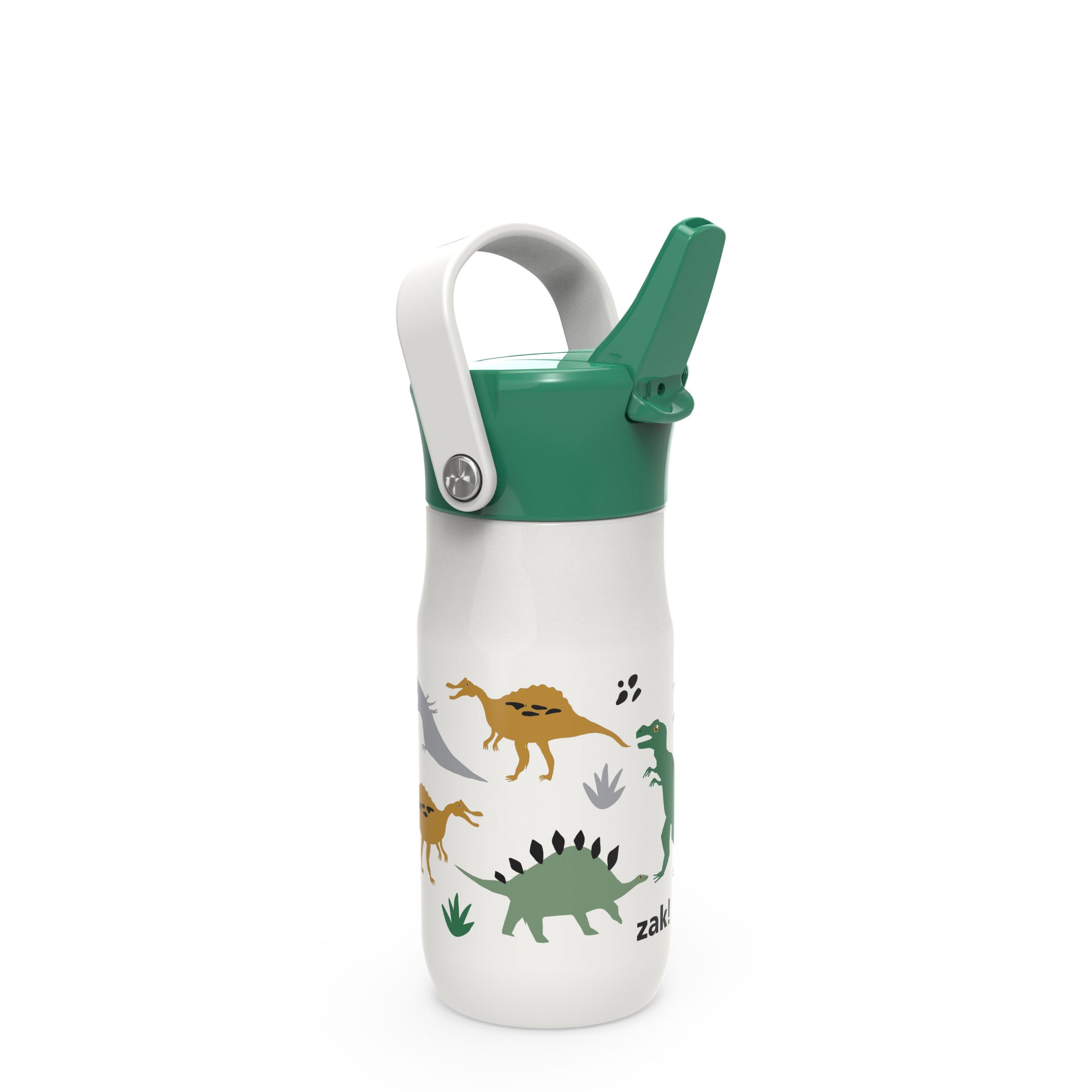 Dinosaurs Harmony Recycled Stainless Steel Kids Water Bottle with Straw Spout, 14 ounces